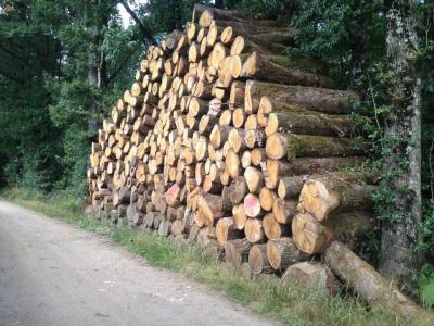 Bois de chauffage dans les Deux-Sèvres BNE79