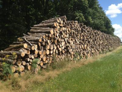 Montagne de bois de chauffage dans le 79 Bressuire